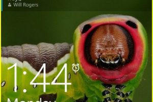 wp lockscreen with narrator