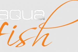 intex aqua fish logo