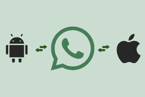 WhatsApp Chat Transfer